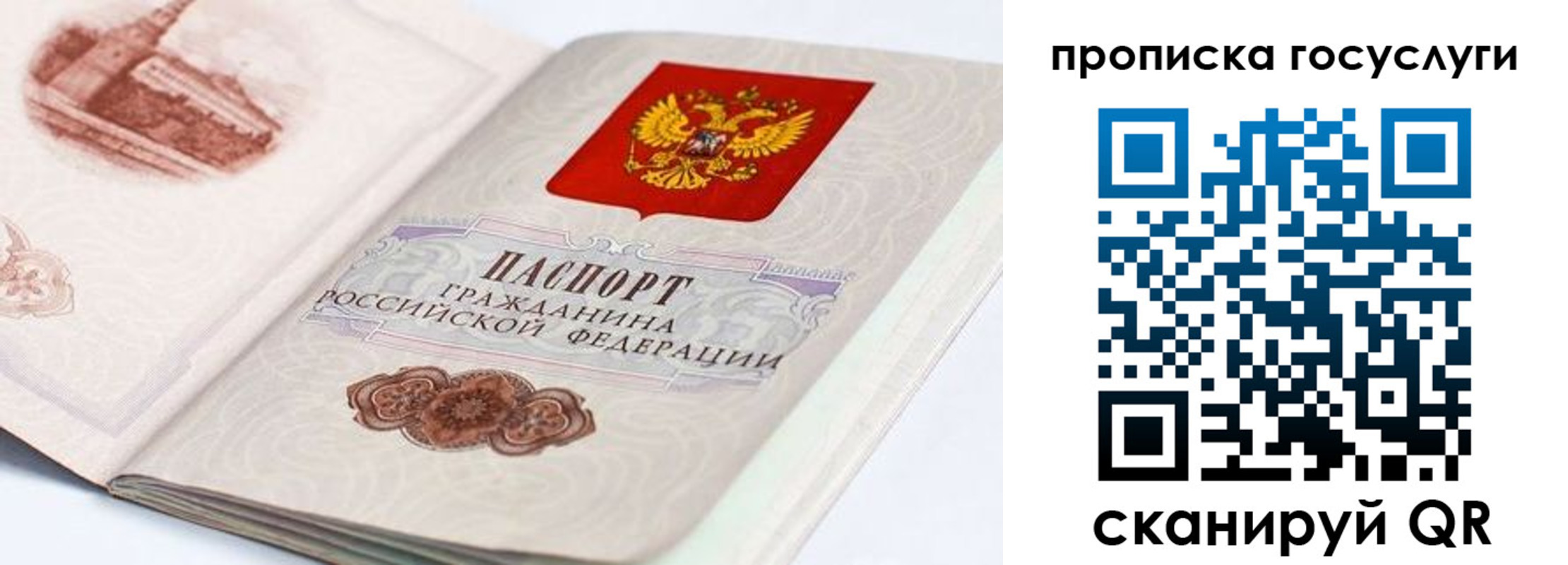 прописка регистрация в Ревде